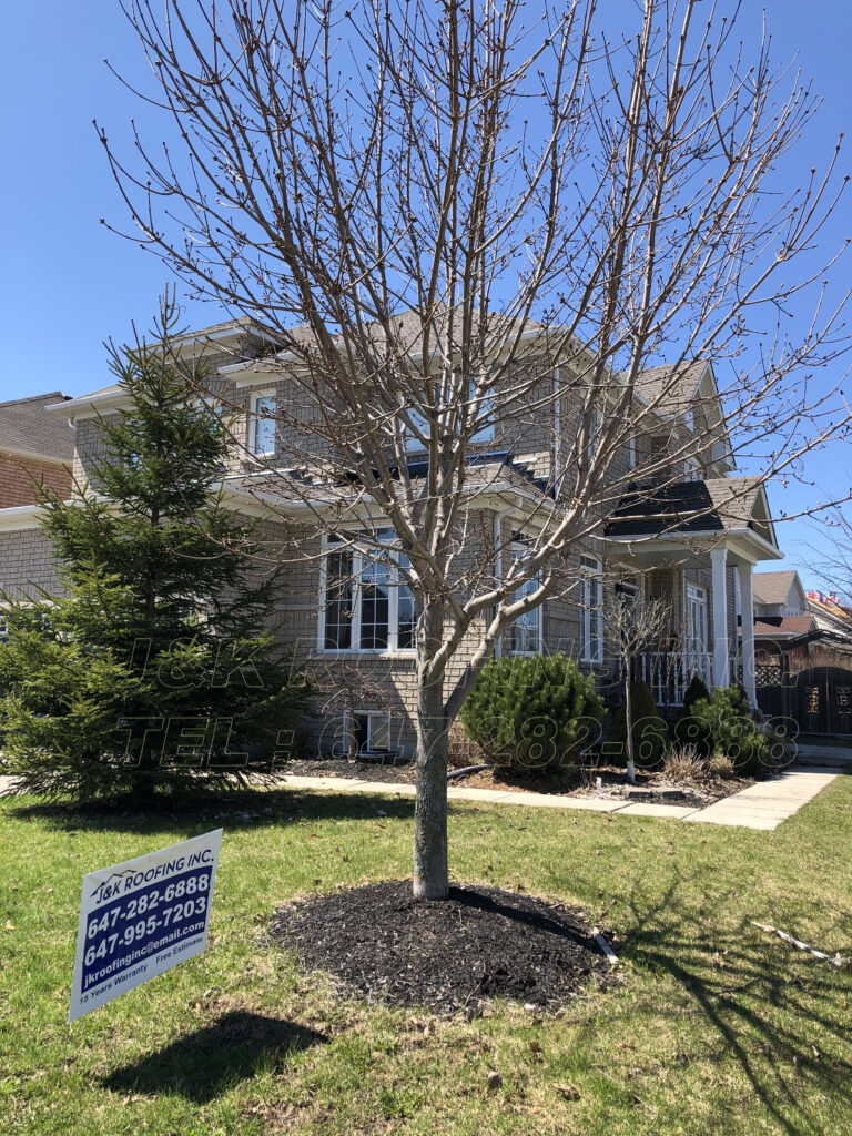 A tree in front of a house with a sign on it.